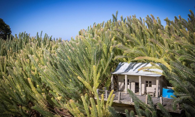 Port Campbell Hotel | Anchors Port Campbell