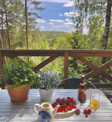 Dziemiany Casa | Anika dom w lesie nad jeziorem Słupinko