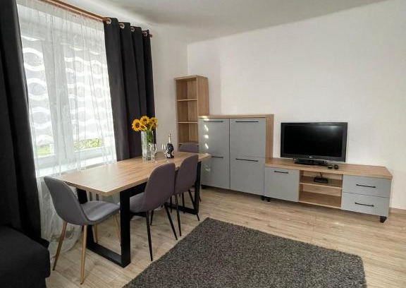 Ostrowiec Swietokrzyski Apartamento | Apartament na Piaskach