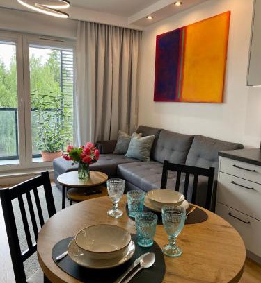 Gorzow Wielkopolski Apartamento | Apartament Dekerta garaż, duży taras, smart tv