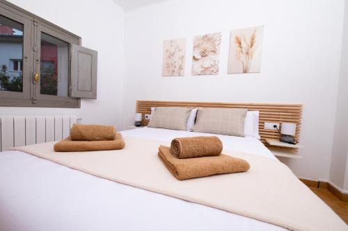 Campdevanol Apartamento | Apartament La Plana