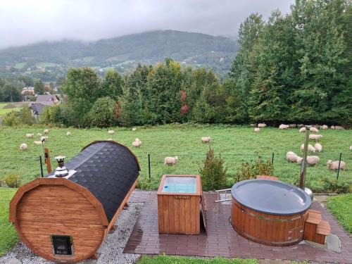 Brenna Apartamento | Apartament Wrzosowisko