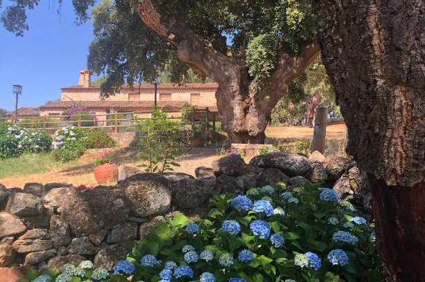 Valencia de Alcántara Apartamento | Apartamentos Rurales La Macera ****