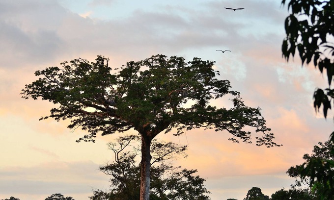 Puerto Jiménez Apartamento | Aparthotel Herrera