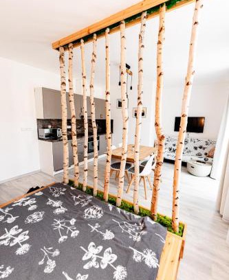 Zelezna Ruda Apartamento | Apartmán v centru Železné Rudy se zahrádkou