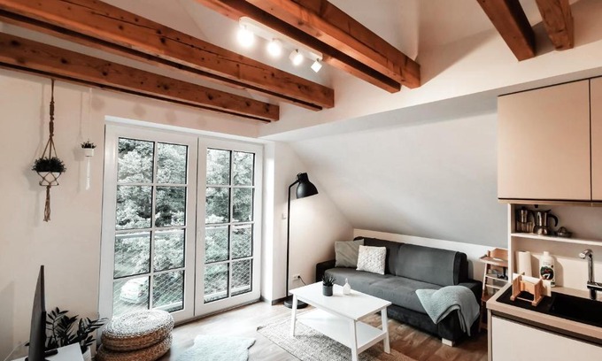 Ricky v Orlickych horach Apartamento | Apartmán v podkroví