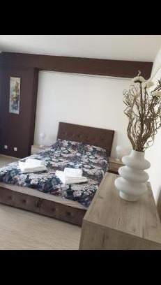Vrsac Apartamento | Apartman Ivan