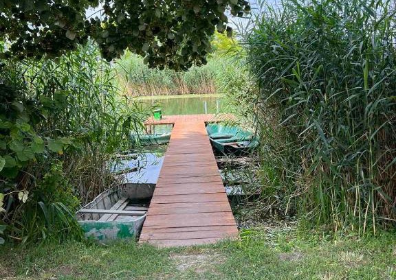 Bezdan Apartamento | Apartmani M