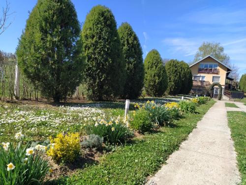 Vrdnik Apartamento | Apartmani Vukanac