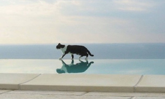 Ospedaletti Apartamento | Apartment in semi-detached house, quiet location, sea view