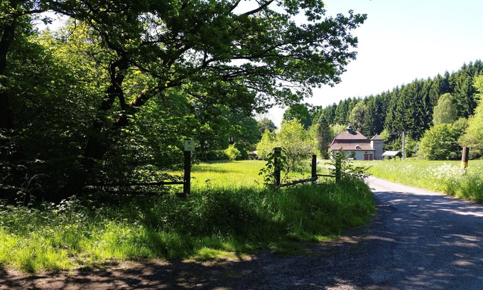 Nauroth Apartamento | Apartment in the forest - Nauroth in the Westerwald - enjoy your holiday in an absolutely natural location