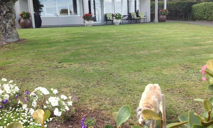 Hilltop Apartamento | Apartamento en Crowther