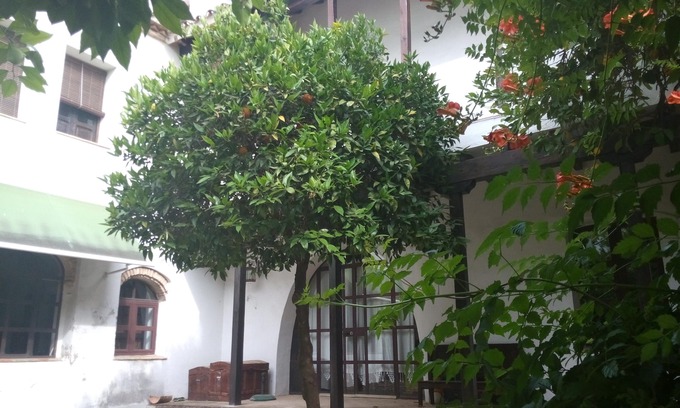 Santa Marina Apartamento | APARTAMENTO CON TERRAZA-SOLARIUM Y PATIO PROPIO , PATIO DEL LIMONERO