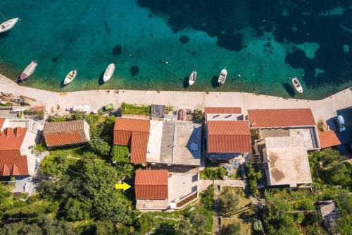 Prozurska Luka Apartamento | Apartments by the sea Prozurska Luka, Mljet - 22336