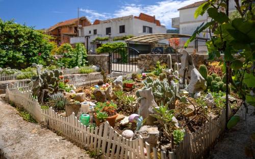 Stari Grad Apartamento | Apartments Gold - 300m from beach