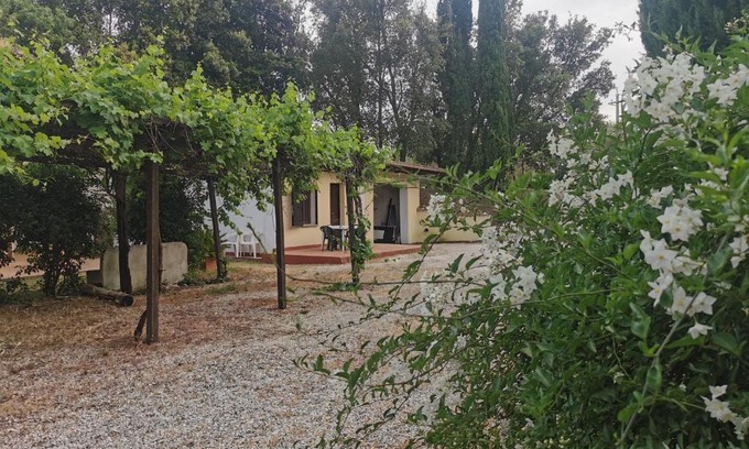 Campagnano di Roma Apartamento | Appartamento bilocale sulla Via Francigena a Campagnano di Roma