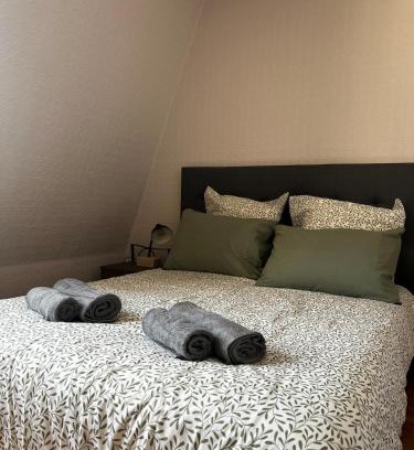 Saumur Apartamento | Appartement au coeur de Saumur - Chambre climatisée