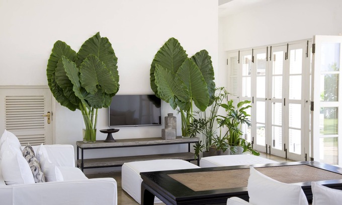 Boossa Hotel | Arabella on Boossa