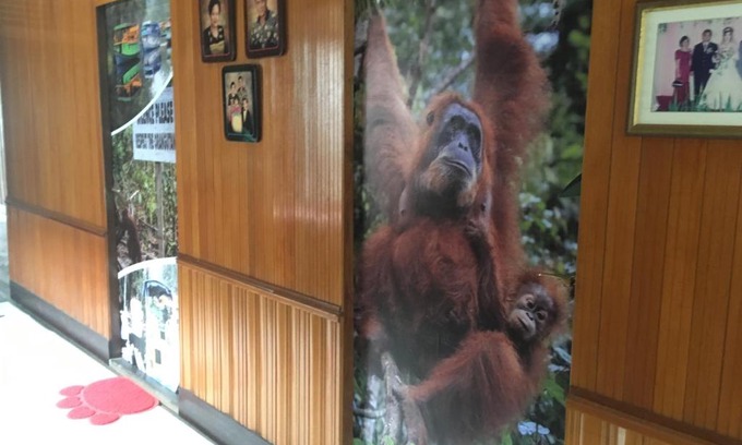 Pangkalan Bun Casa | Arut Riverside Guesthouse