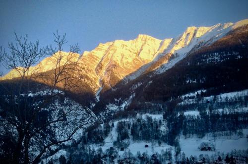 Bitsch Cabina | Arve