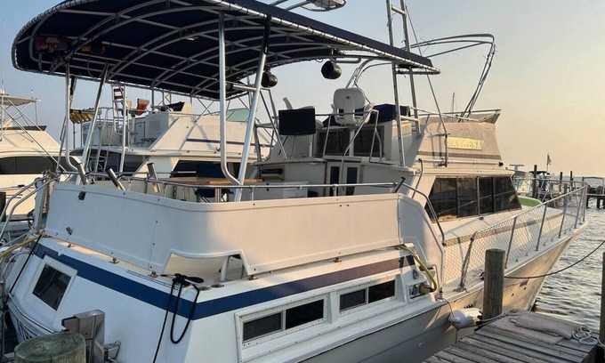 Ono Island Alquiler De Eote | Athena - Viking Motor yacht at the Dock