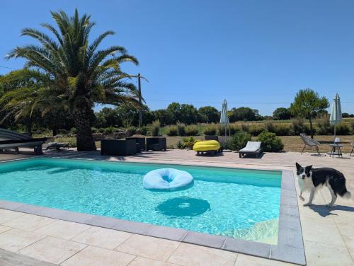 Chervettes Cama Y Desayuno | Au domaine de Gigie