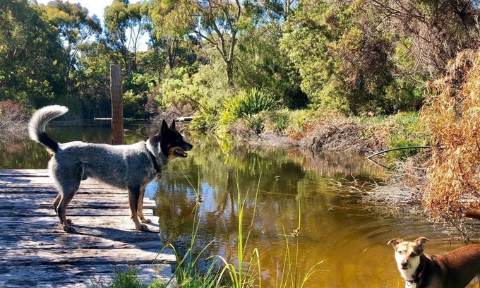 Pink Lake Apartamento | Alojamiento galardonado, que admite mascotas