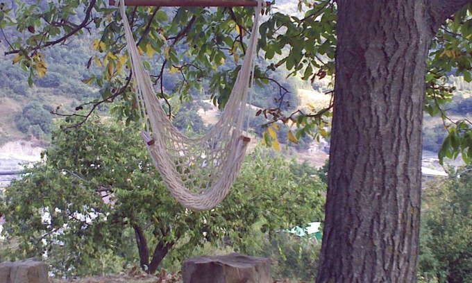 Grizzana Morandi Cama Y Desayuno | B&B Bosco Dei Cervi