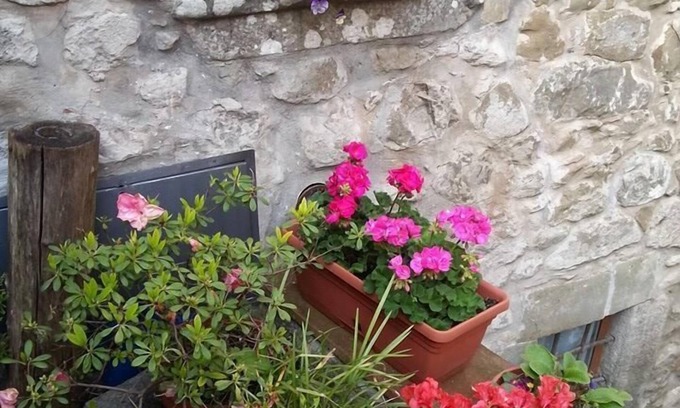 Casoli Cama Y Desayuno | B&B La Margine con area benessere