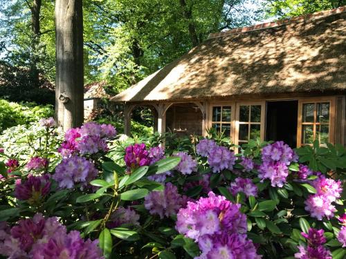 Doorn Cama Y Desayuno | B&B La 'Petite Bergerie'