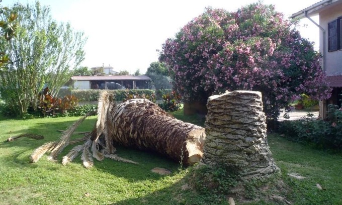 Civitavecchia Cama Y Desayuno | B&B Villa Sans Souci