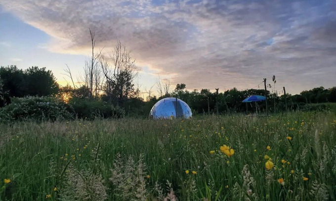 South Butler Alquiler De RV | Backwoods Dome