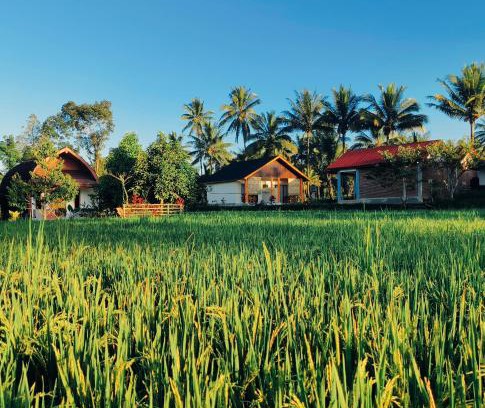 Tetebatu Casa | Bale Tetebatu