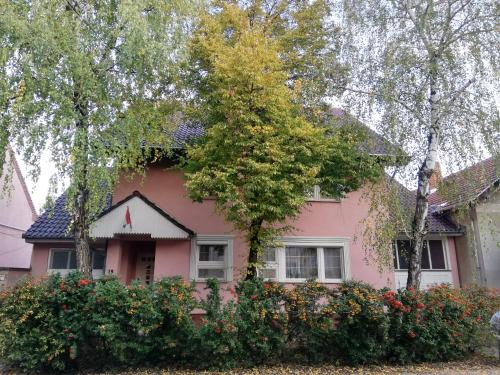 Szeged Casa | Balogh vendegház