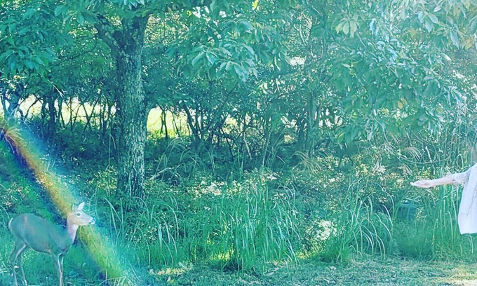 Albrightsville Casa | Bambi N Bear Pocono Mountaintop Retreat