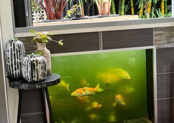 Arncliffe Casa | Bamboo House, Close to the City & Airport & Train station and Brighton Le Sands Beach