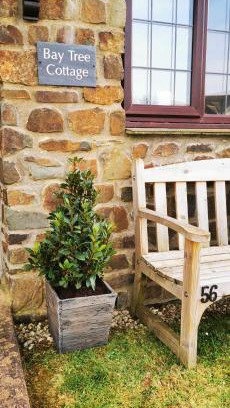 North Buckland Casa | Bay Tree Cottage - cosy home near beach