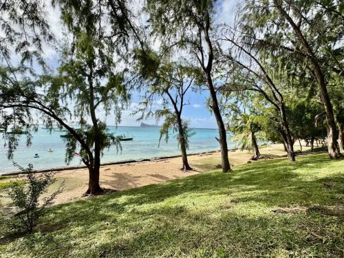 Bain Boeuf Apartamento | Beach cozy Studio