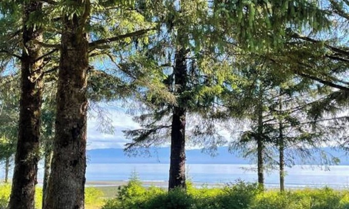 Sekiu Cabina | Beachfront Cabin – Pet-Friendly Romantic Escape w/ Views & Huge Deck