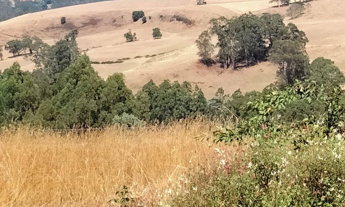 Narracan Casa | Beautiful 3 bedroom farmhouse in Narracan