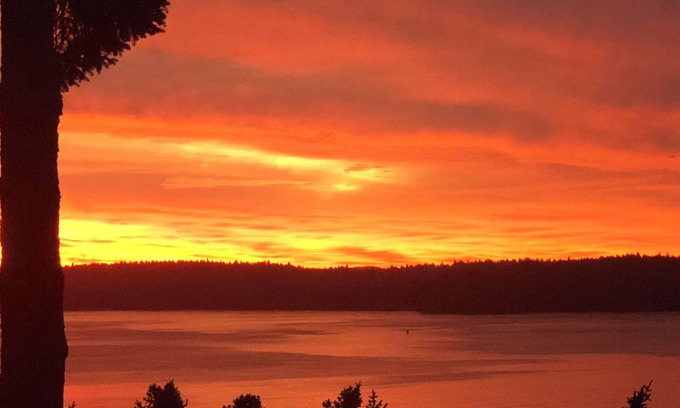 Kodiak Apartamento | Beautiful channel view, short walk to town. 2 bedrm apt, private entrance.