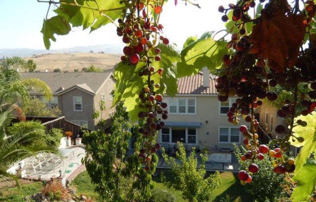 Silver Creek Casa | Beautiful Home in Quiet Area