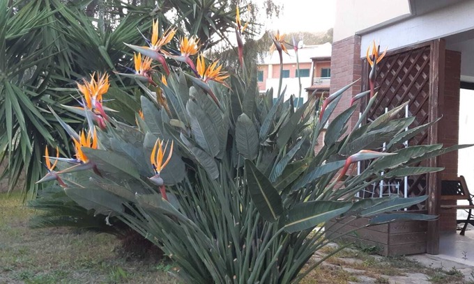 Formia Villa | Beautiful villa in Formia