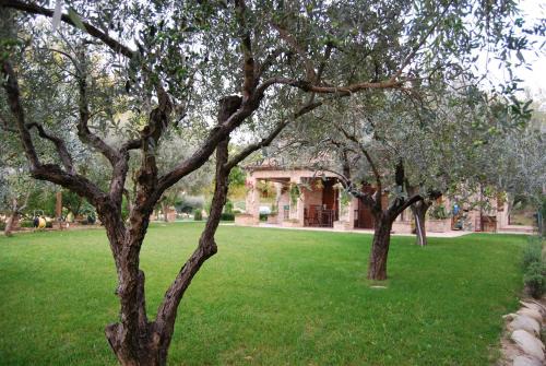 Staffolo Cama Y Desayuno | Bed and Breakfast La casa delle rondini