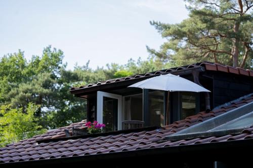 Rolde Apartamento | Bed, Boom en Droom