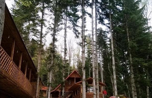 Arkhyz Casa | BeerLoga