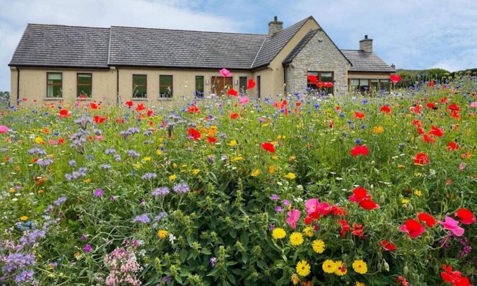 Dungannon Casa | Bells Holiday Homes The Homeplace