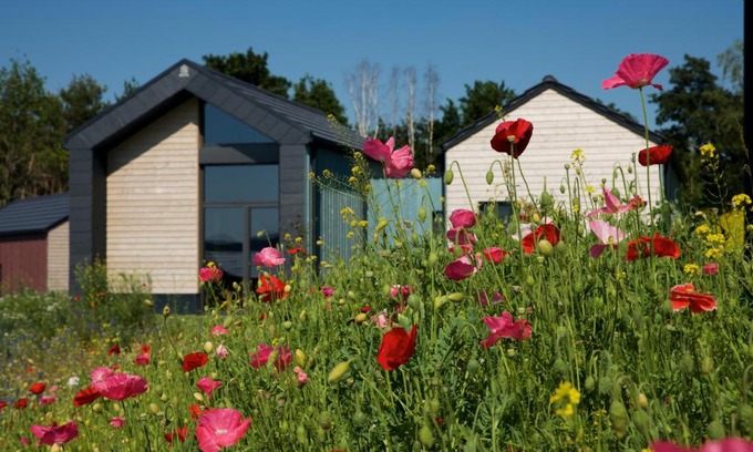 Zeulenroda-Triebes Casa | Bio-Seehotel Chalets