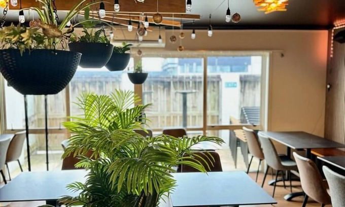 Palmerston North Hotel | BKs Premier Motel Palmerston North