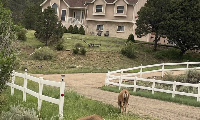 Raton Casa | Black Bear Ridge Vacation Home